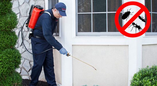 Derince Hamam Böceği İlaçlama böcek ilaçlama ve haşere kontrolü — ilaclama-tr.com